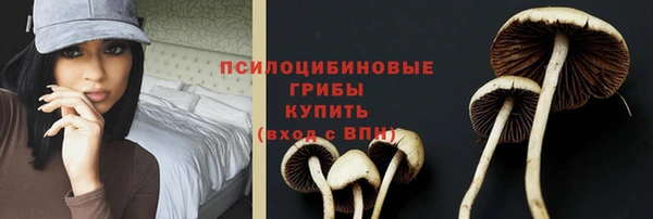 амф Армянск