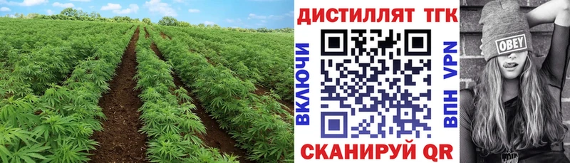 что такое   Магадан  Дистиллят ТГК вейп с тгк 