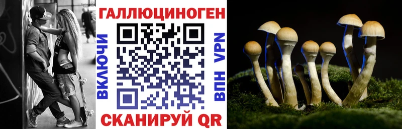 Галлюциногенные грибы MAGIC MUSHROOMS  где купить наркотик  Магадан 
